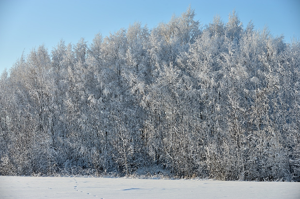 Talvinen päivä