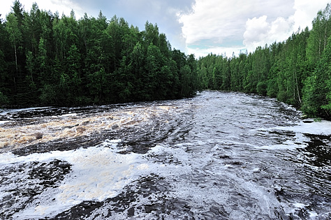 Herjakoski Pomarkku