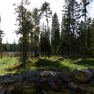 Rieskaronmäki